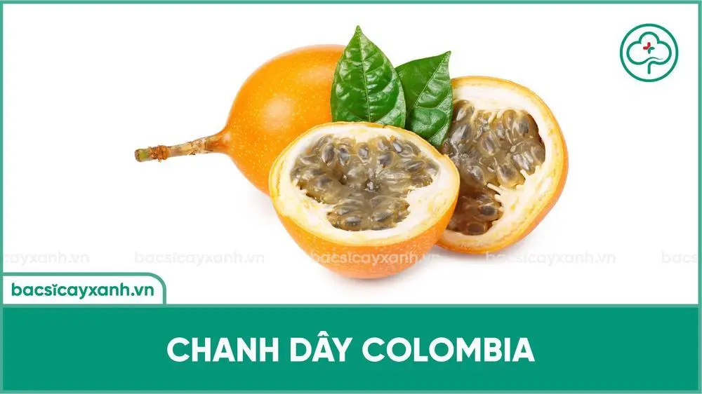 Chanh dây Colombia